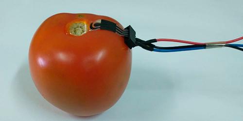 Sensor ambientalmente correto monitora níveis de agrotóxicos na casca de vegetais