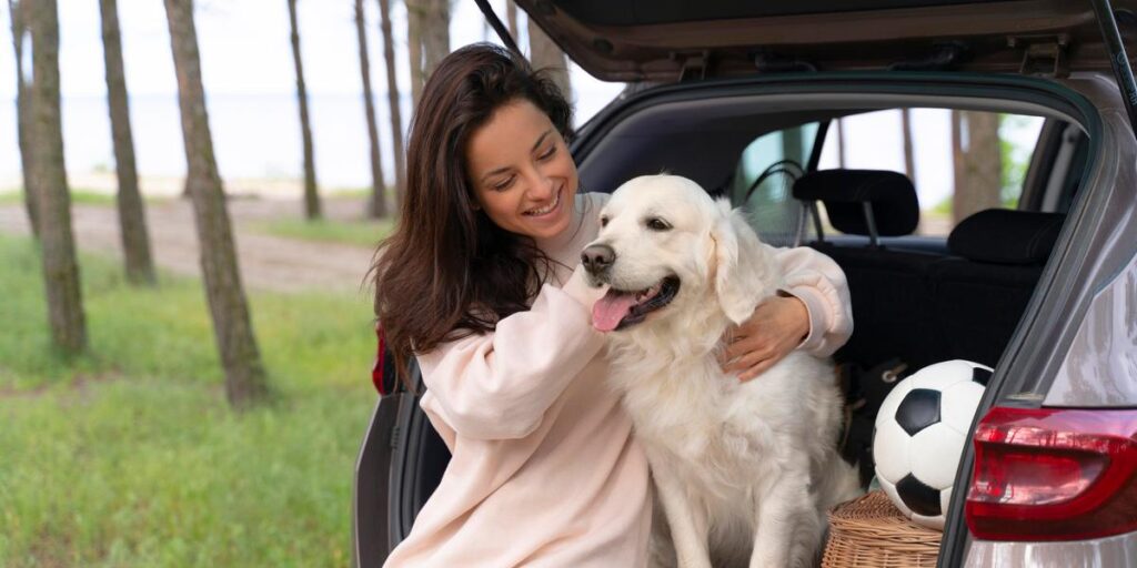 Vai viajar com o pet? Pare pro mascote esticar as patas!