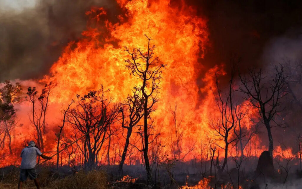 Mais de 11 milhões de pessoas foram diretamente afetadas por incêndios, aponta estudo