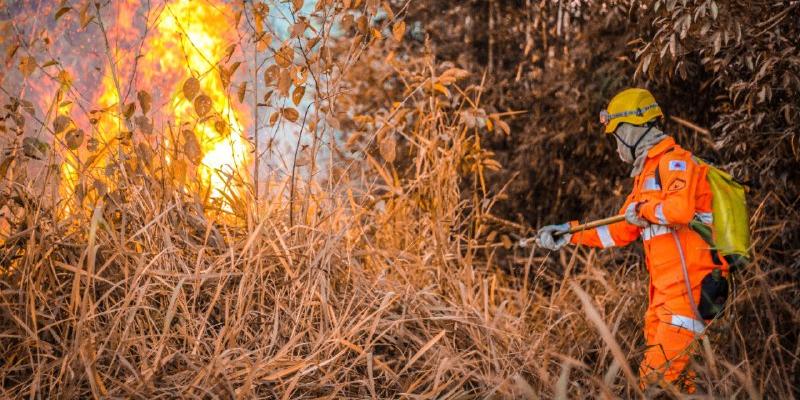 Minas bate recorde de incêndios florestais em uma década